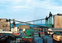 中国山东日照大宇(韩国)水泥筒仓工程