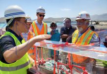 东帝汶前总理夏纳纳到帝巴湾新集装箱码头项目视察