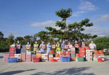 东帝汶帝巴湾项目开展端午节慰问活动