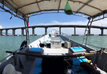 马来西亚槟城275kV跨海输电线路项目完成水深测量及海底物探现场作业