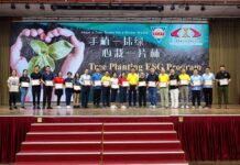 南太区域中心参加植树公益活动