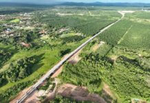 中交马东铁六分部28号特大桥t梁架设顺利完成