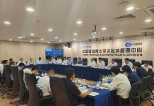 南太区域管理中心组织召开马来国别统筹暨机构布局优化工作方案宣贯会