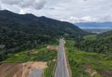 巴新东高地省凯南图道桥项目荣获业主表扬信及银牌奖章