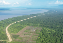 沙捞越第二干道B1标项目顺利完成全部回填砂施工