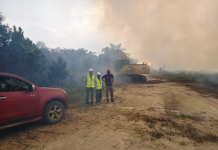 关丹物流园项目快速响应扑灭山火